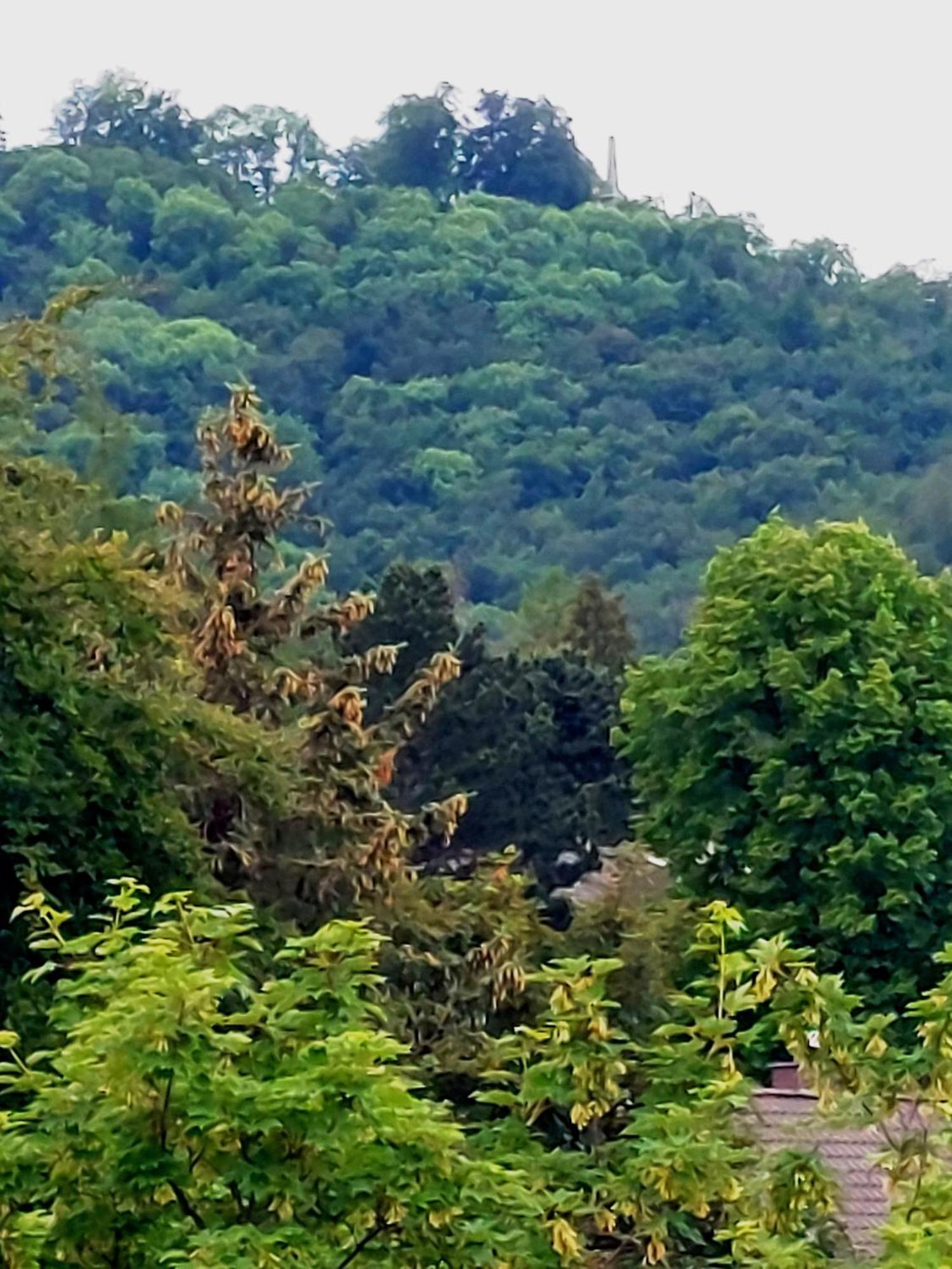 Appartamento Burgberg-Blick Bad Harzburg Esterno foto